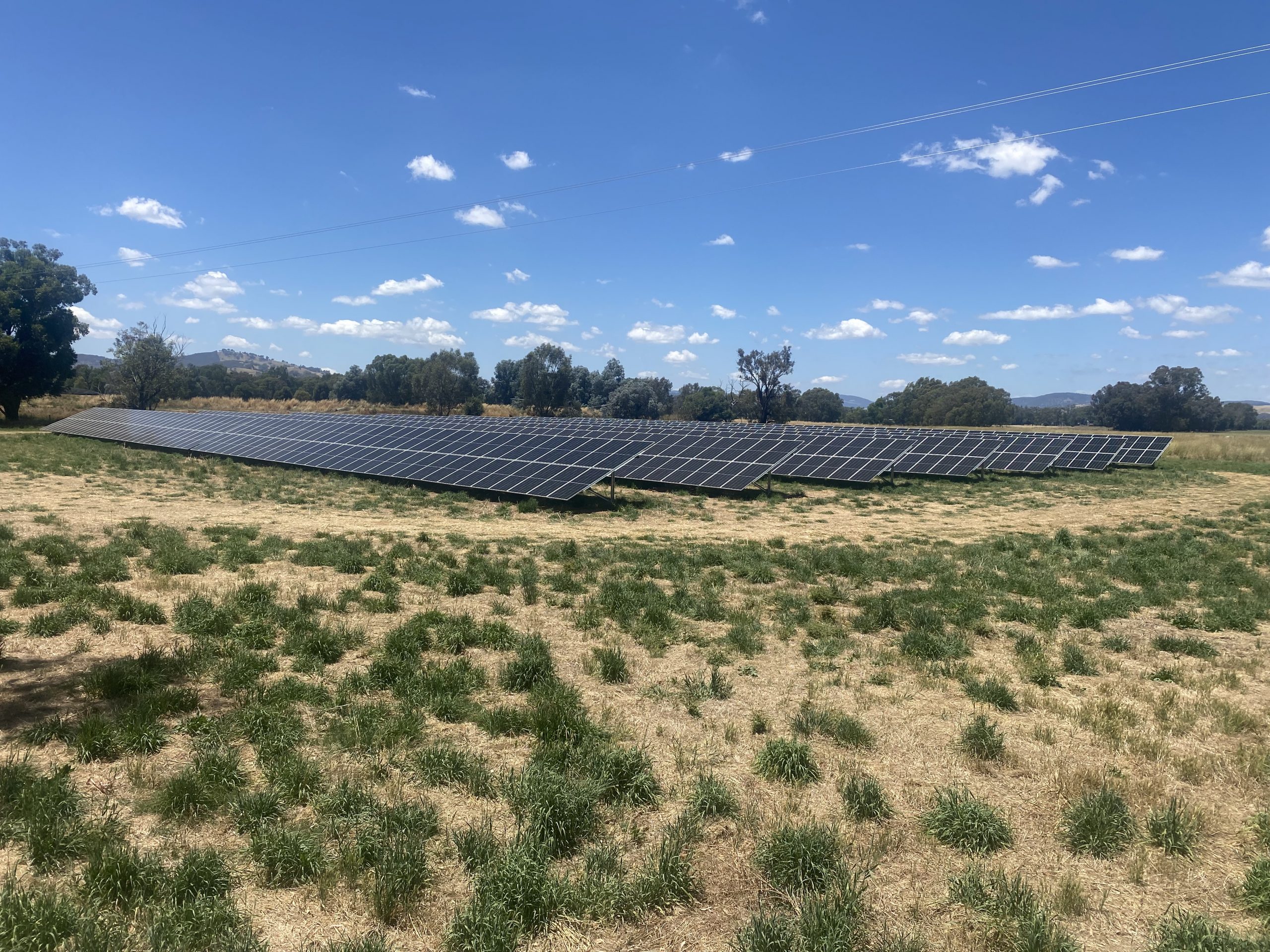 Rows of solar panels in bushland Australia